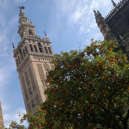 Carlos Apartamento San Jose de la Rinconada Eksteriør billede